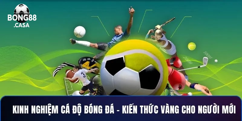 Bí Quyết Tối Ưu Trải Nghiệm Cá Cược Với Uy Tín Bong88