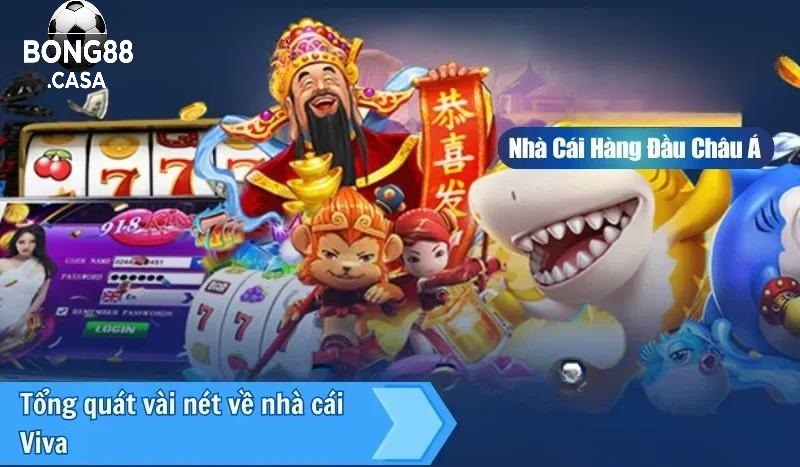 Lý Do Viva Bong88 Thu Hút Người Chơi Game